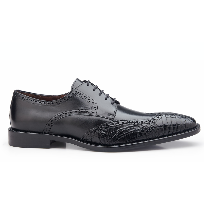 Belvedere Urbano Crocodile & Calfskin Wingtip Shoes Black Image