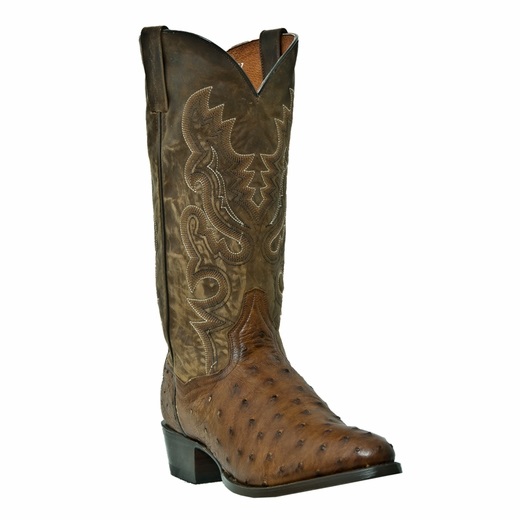 Dan Post Tempe DP2323 Ostrich Quill Western Boots Saddle Tan Image