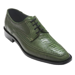 David X Monte Ostrich & Lizard Shoes Green Image
