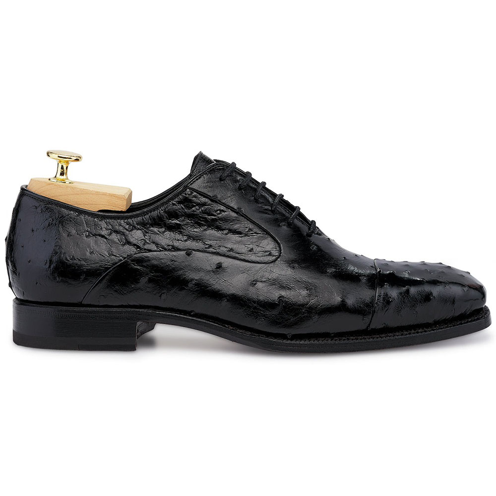 Harris Shoes 1913 Ostrich Stringed Shoes Nero Image