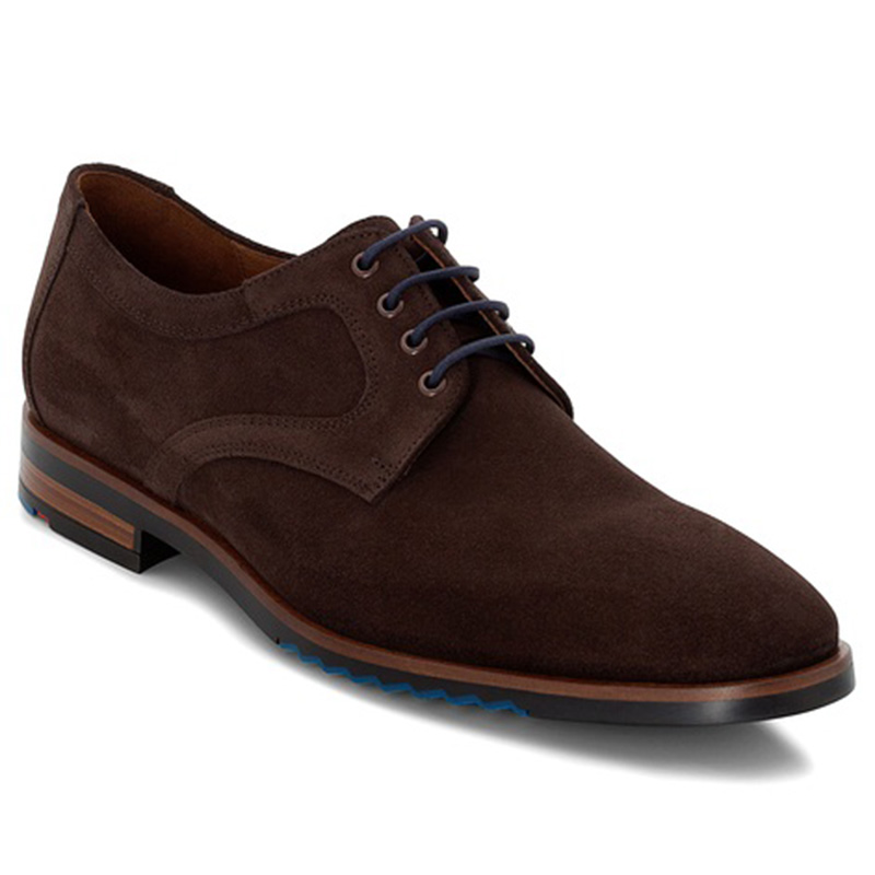 Lloyd Delft Suede Brown Shoes Image