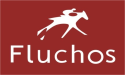fluchos shoes logo_logo