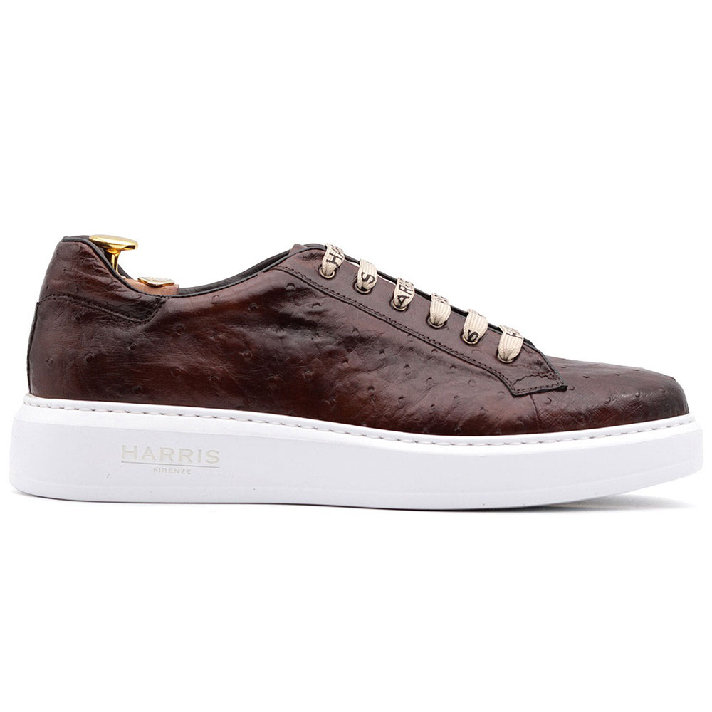 Harris Firenze 1913 Ostrich Leather Sneakers Brown Image