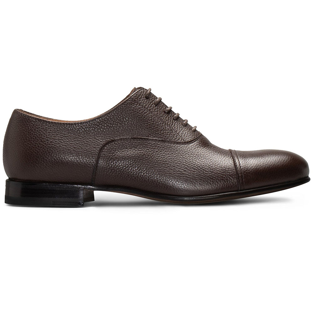 Moreschi Brown Leather Oxford (112412C) Image
