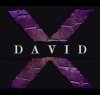 David X Shoes Logo_logo