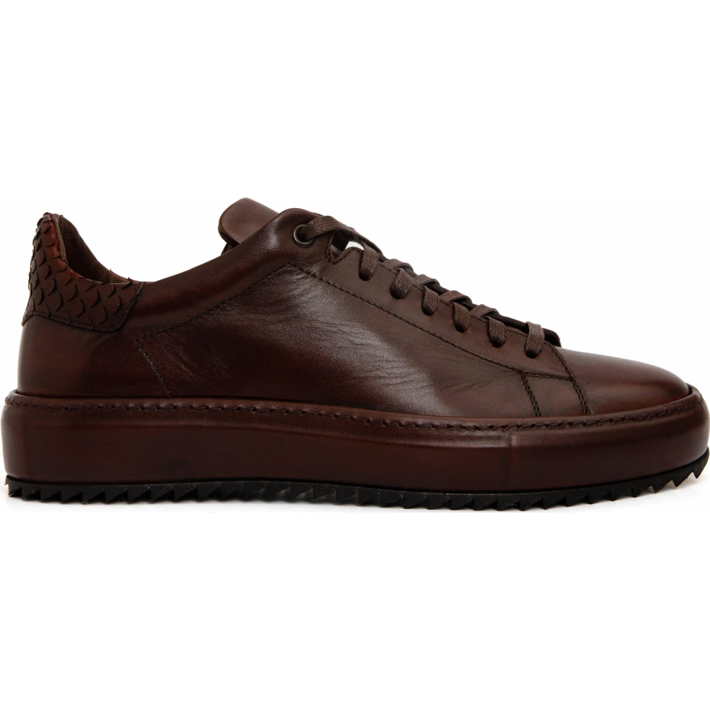 Vinci Leather The Noble Burgundy Leather Sneaker (D-2189) Image