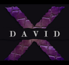 David X Shoes