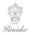Pineider Shoes