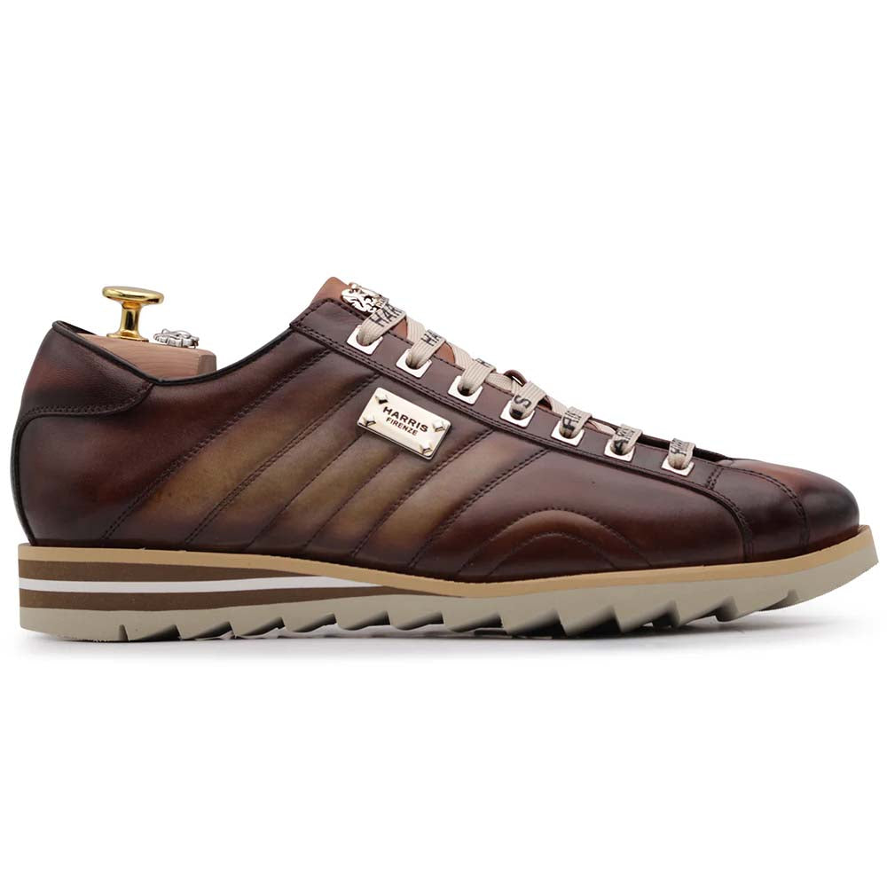 Harris Firenze 1913 Hand Painted Leather Sneakers Brown