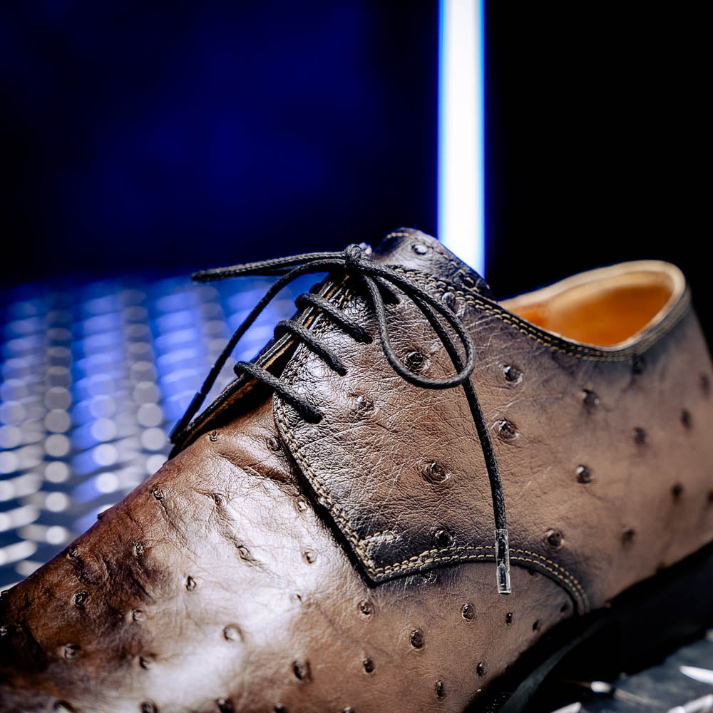 Mauri 1056/2 Dillinger Ostrich Derby Shoes Mink/ Dirty Black