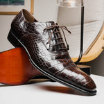Caporicci 1114 Alligator Oxfords TD Moro