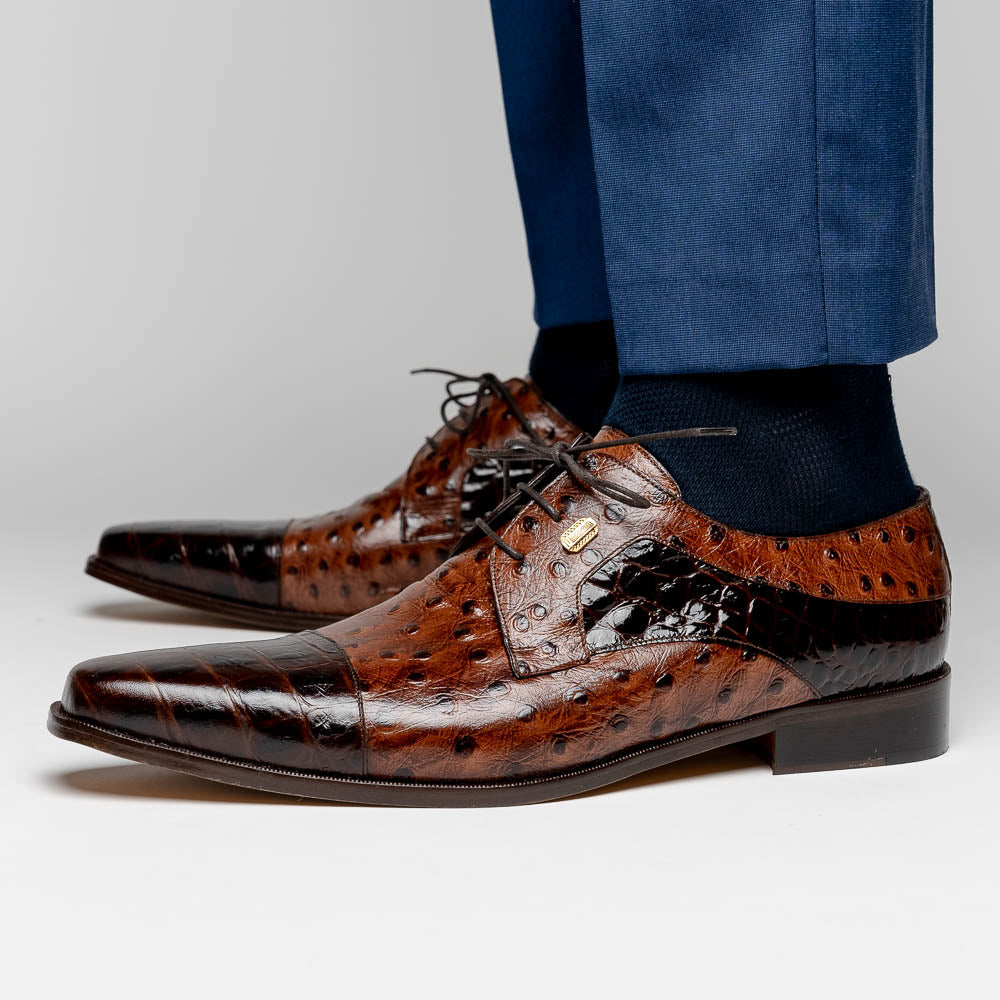 Maseratti Assenzio 3012 Embossed Crocodile & Ostrich Derby Shoes Brown
