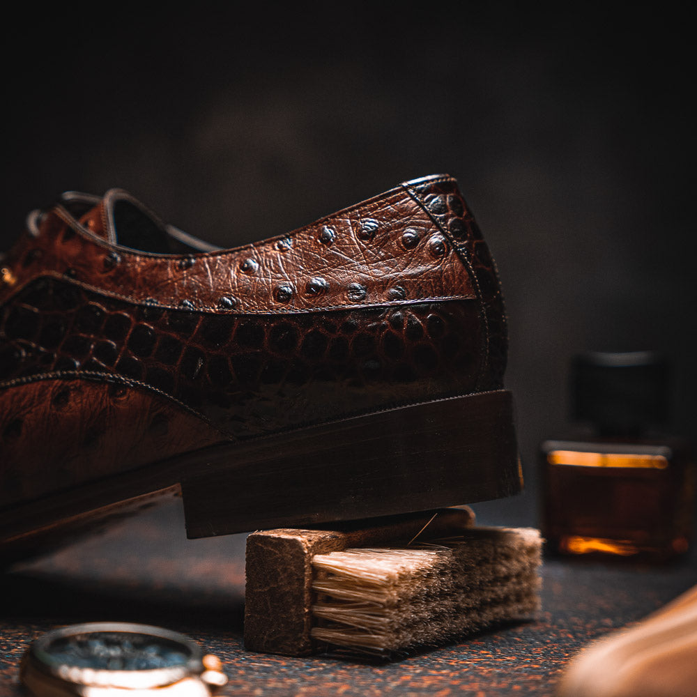 Maseratti Assenzio 3012 Embossed Crocodile & Ostrich Derby Shoes Brown