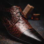 Maseratti Assenzio 3012 Embossed Crocodile & Ostrich Derby Shoes Brown