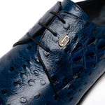 Maseratti Assenzio 3012 Embossed Crocodile & Ostrich Derby Shoes Blue