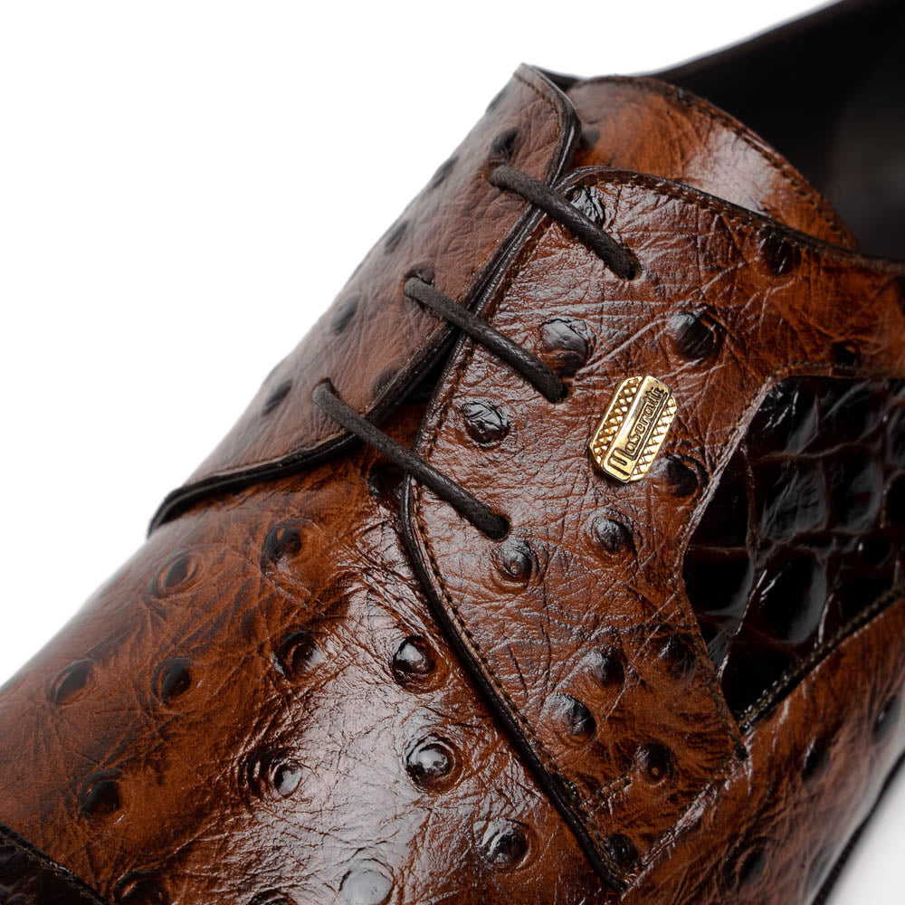 Maseratti Assenzio 3012 Embossed Crocodile & Ostrich Derby Shoes Brown