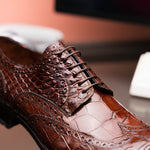 Caporicci 3318 Alligator Wingtip Shoes Castagno