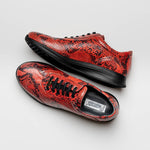 Maseratti Snake 6004 Embossed Python Sneakers Cimarron