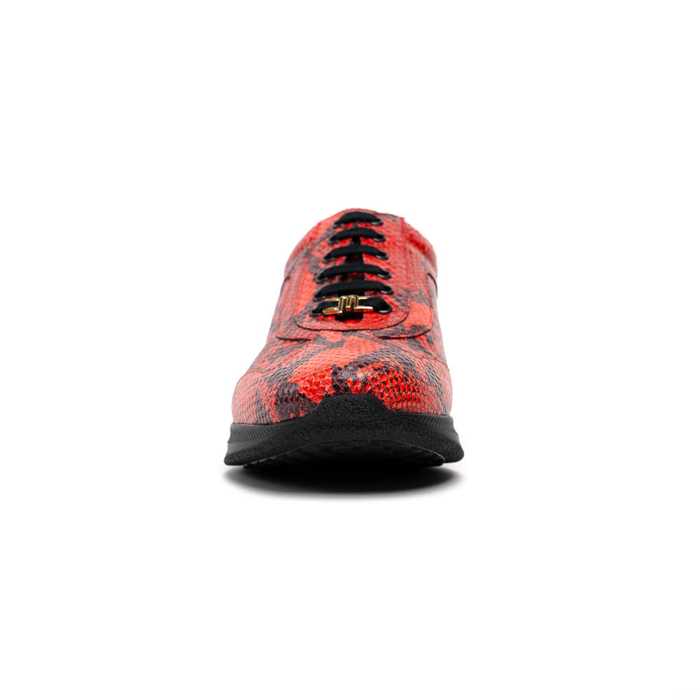 Maseratti Snake 6004 Embossed Python Sneakers Cimarron