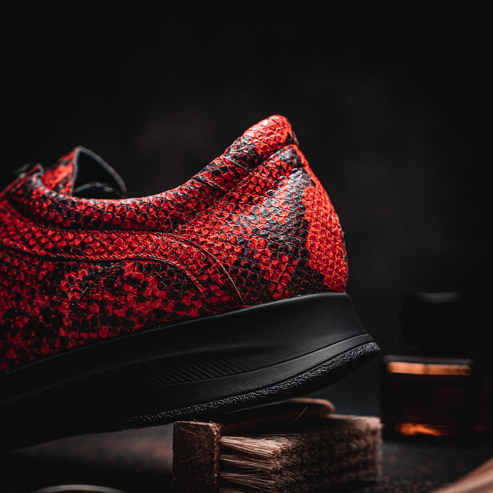 Maseratti Snake 6004 Embossed Python Sneakers Cimarron