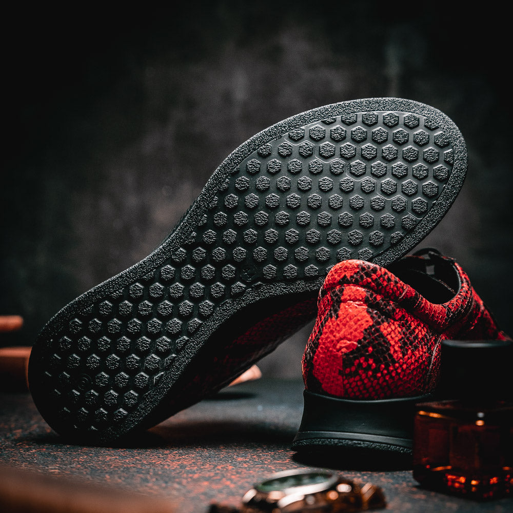 Maseratti Snake 6004 Embossed Python Sneakers Cimarron