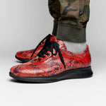 Maseratti Snake 6004 Embossed Python Sneakers Cimarron