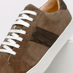 Zelli Olympias Calf & Crocodile Sneakers Cappuccino  (61-101-CAP)