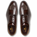 Bruno Magli Asti Traditional Dress Oxford Brown