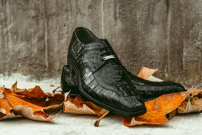 Belvedere Chapo Hornback Lace Up Shoes Black (1465)