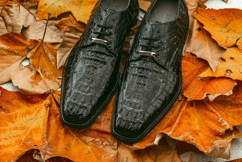 Belvedere Chapo Hornback Lace Up Shoes Black (1465)
