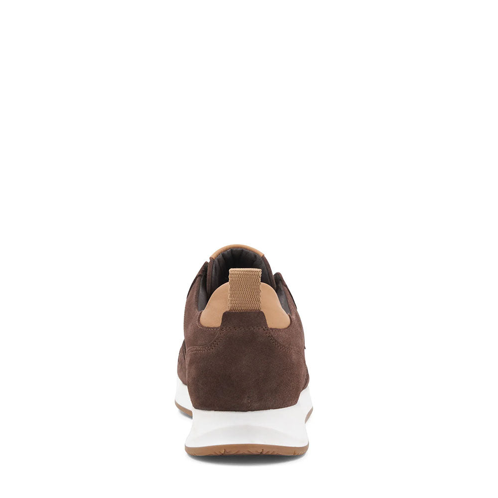 Bruno Magli "M" Collection Capri Suede Sneaker Brown