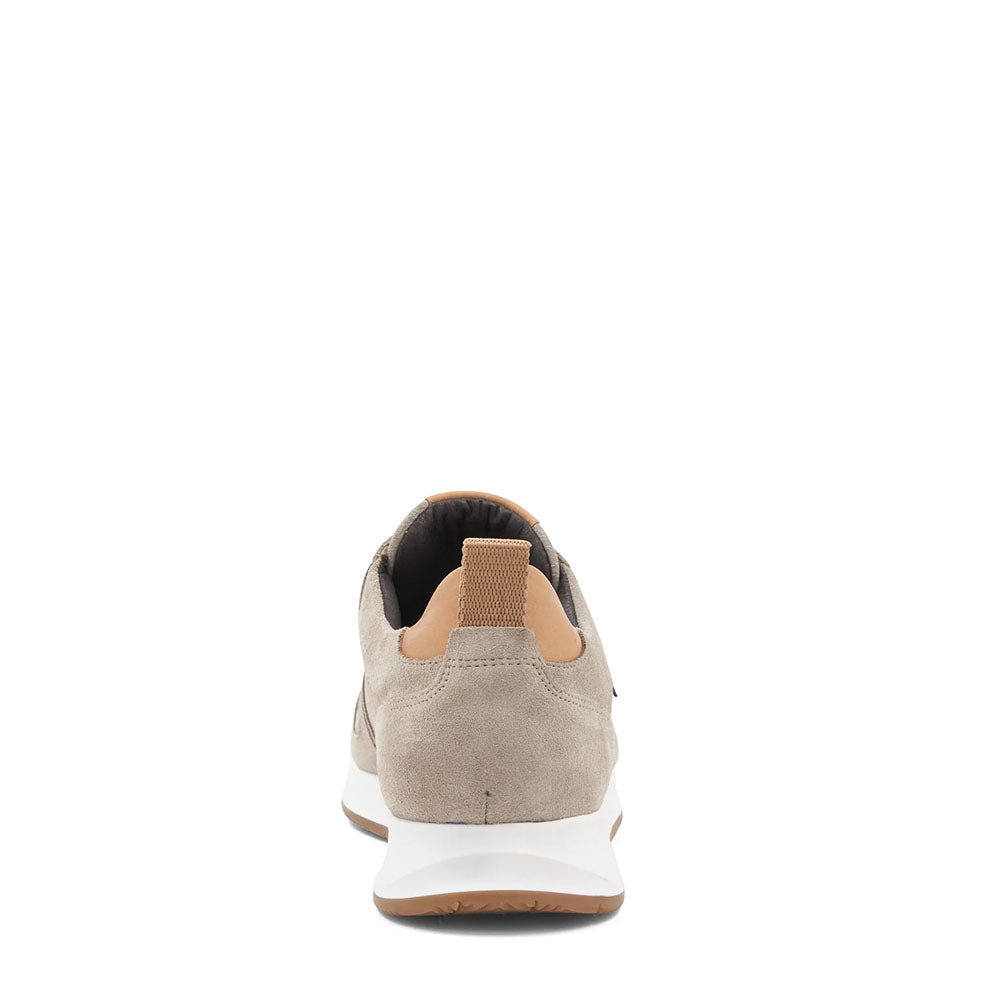 Bruno Magli "M" Collection Capri Suede Sneaker Grey