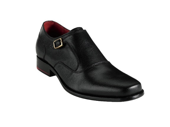 Cole Haan Jimmy Monk Rich Leather Shoes
