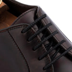 Harris Firenze 1913 Smooth Brushed Leather Derby Brown