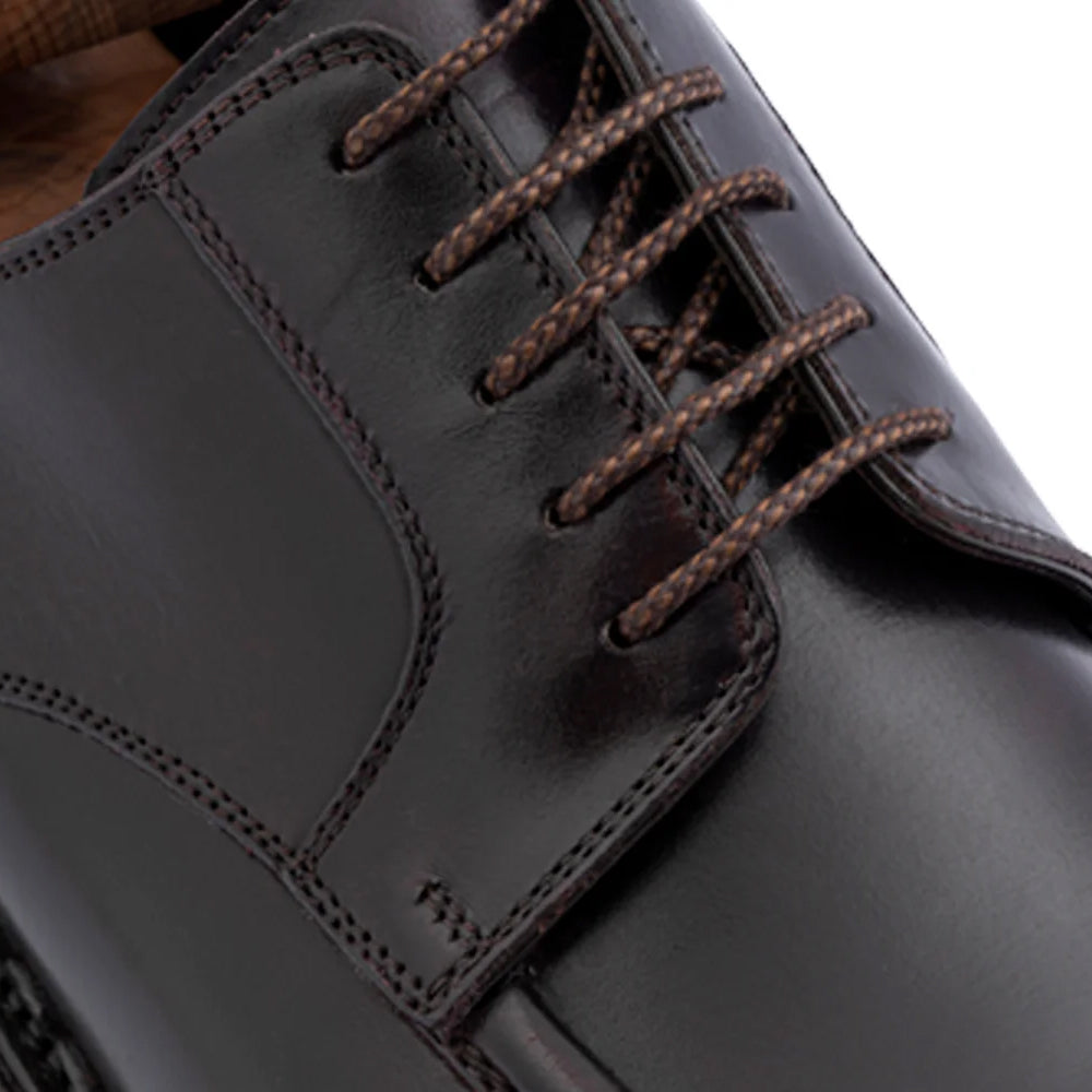 Harris Firenze 1913 Calfskin Lace-Up Derby Shoes Brown