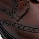 Harris Firenze 1913 Hand-Painted Derby Brown