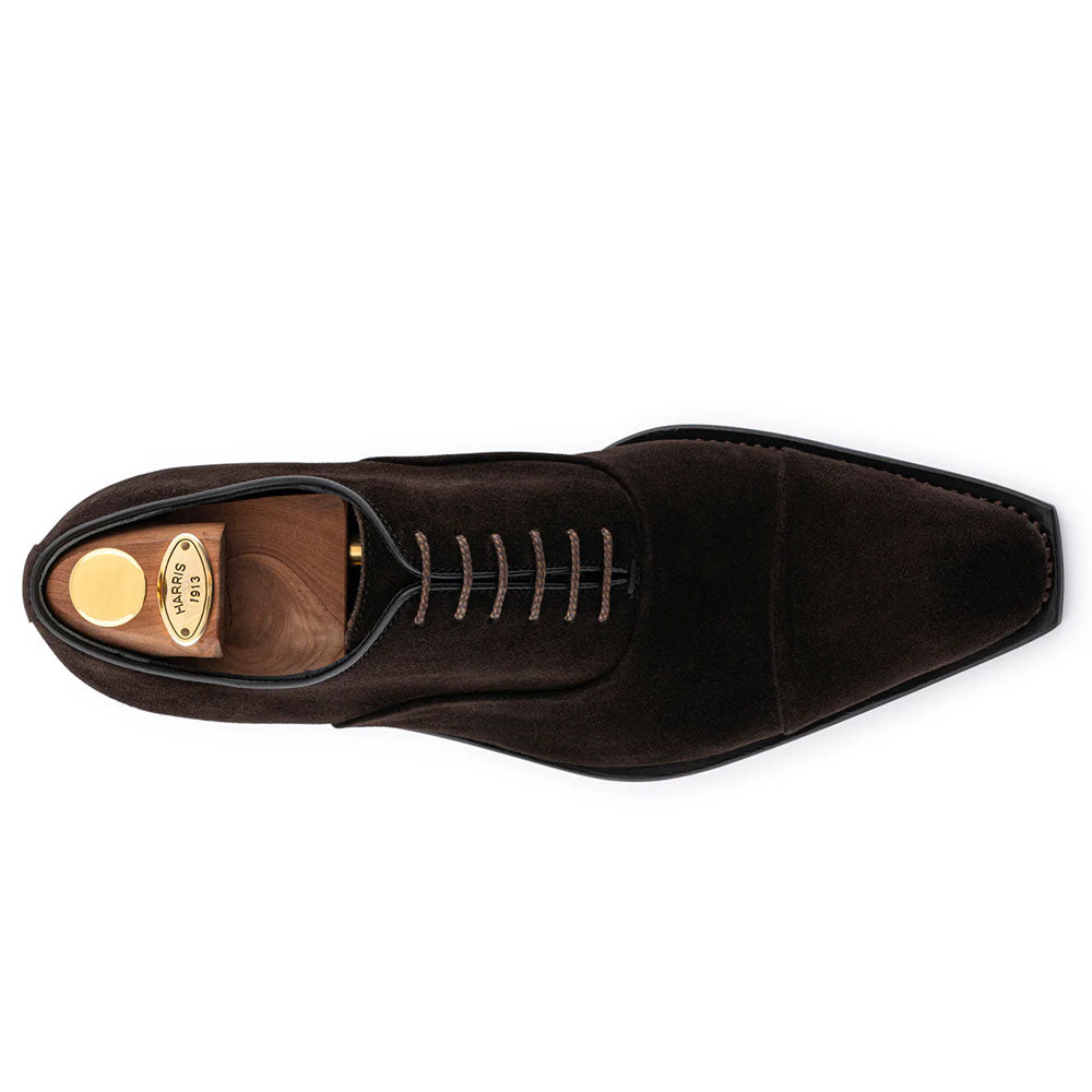 Harris Firenze 1913 Suede Oxford Brown