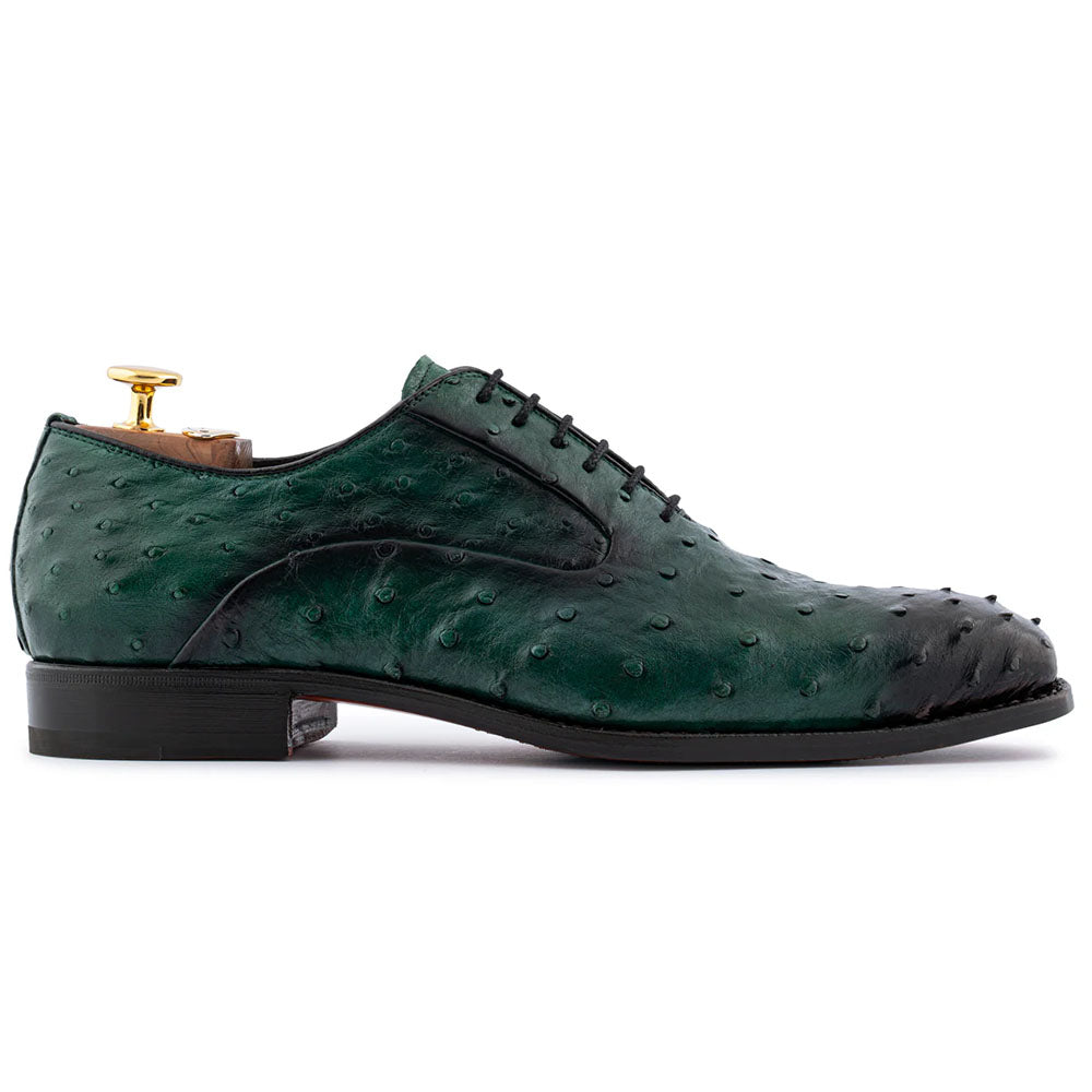 Harris Firenze 1913 Premium Ostrich Leather Oxford Shoes Grigi