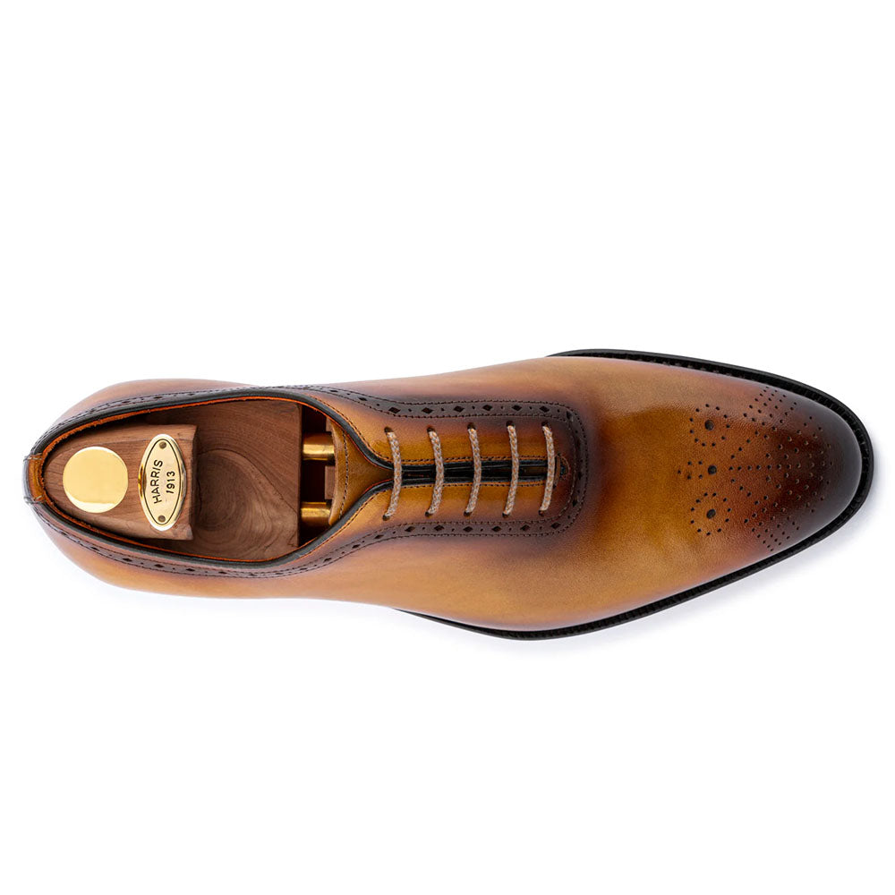 Harris Firenze 1913 Leather Brogue Oxford Brown