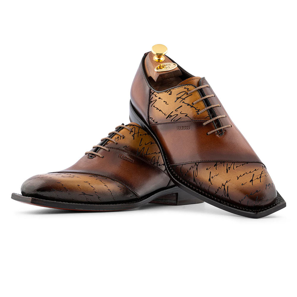 Harris Firenze 1913 Hand-Painted Signature Oxford Honey