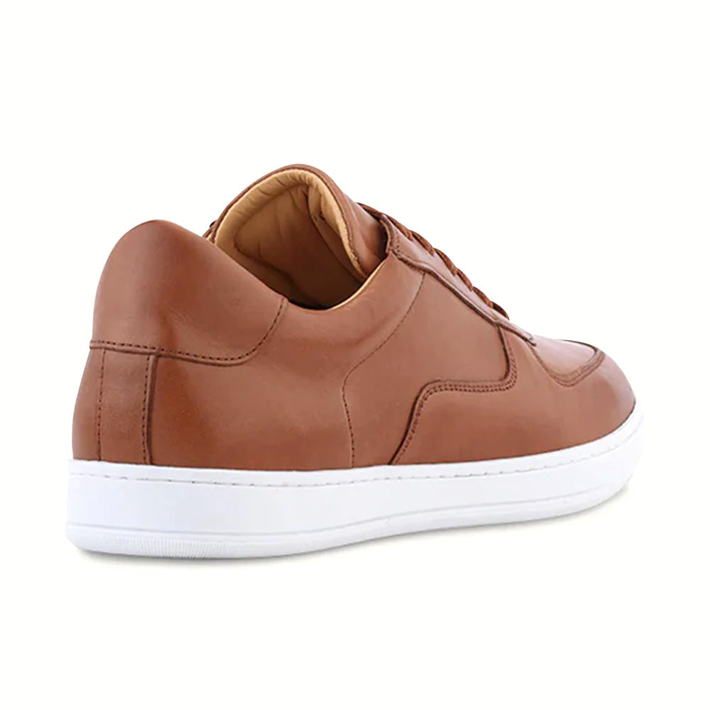 Ace Marks Martello Dress Sneaker Brown