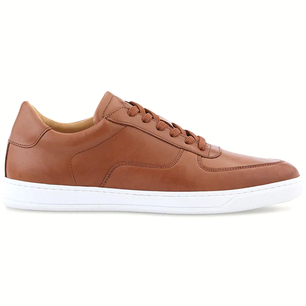 Ace Marks Martello Dress Sneaker Brown