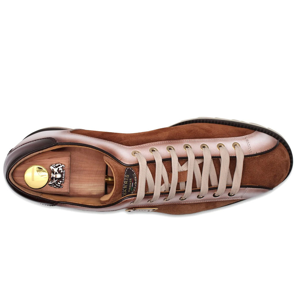 Harris Firenze 1913 Leather & Suede Sneakers Brown