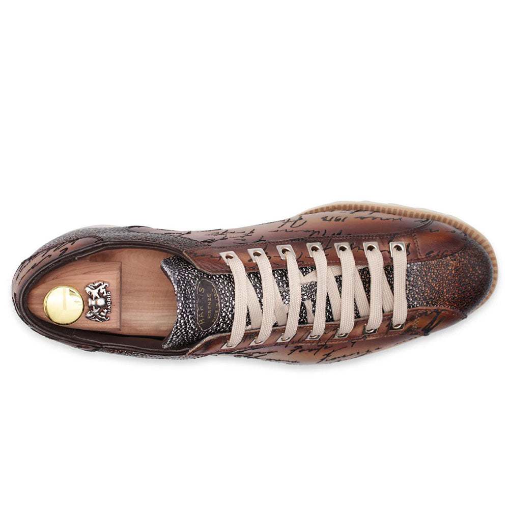 Harris Firenze 1913 Hand Painted Signature Sneakers Brown
