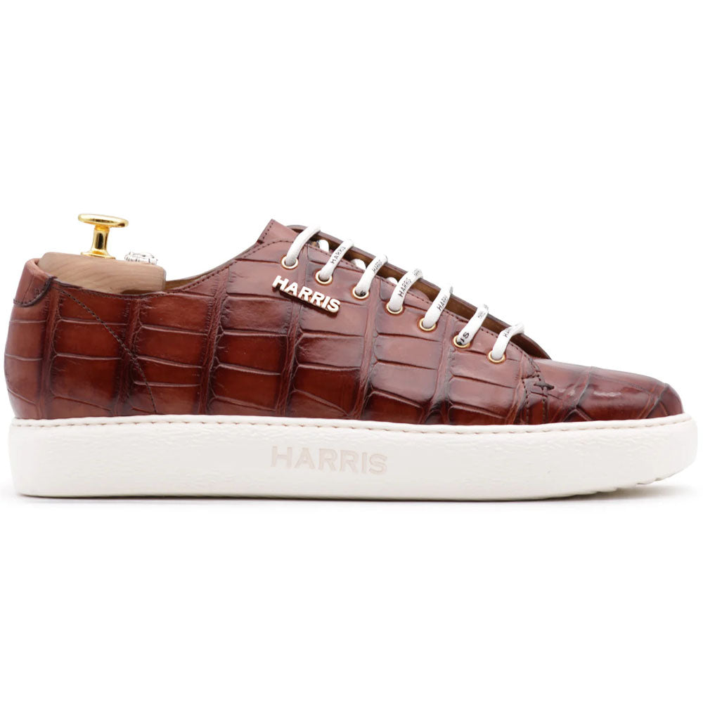 Harris Firenze 1913 Hand-Painted Crocodile Sneakers Pointers