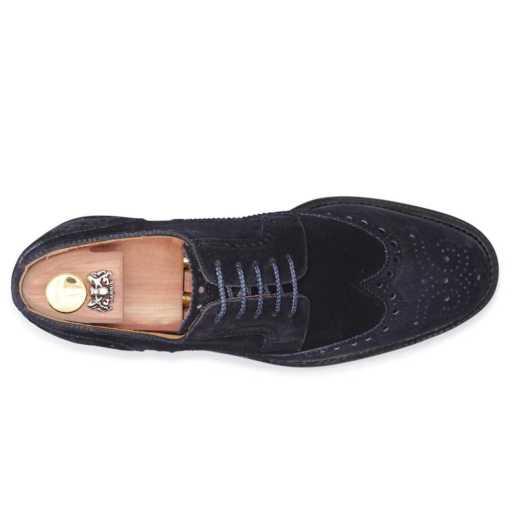 Harris Firenze 1913 Suede Brogue Derby Navy Blue