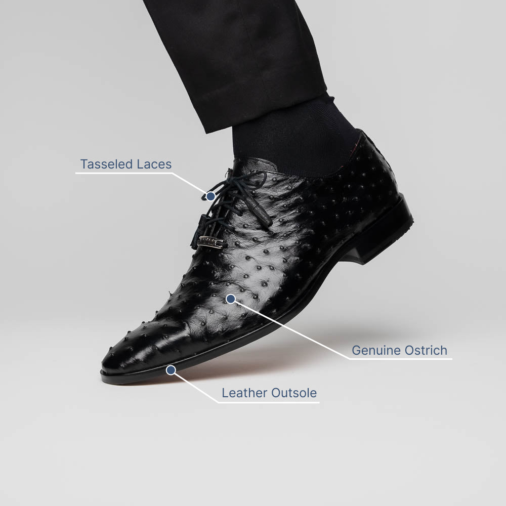 Marco Di Milano Criss Ostrich Quill Dress Oxfords Black