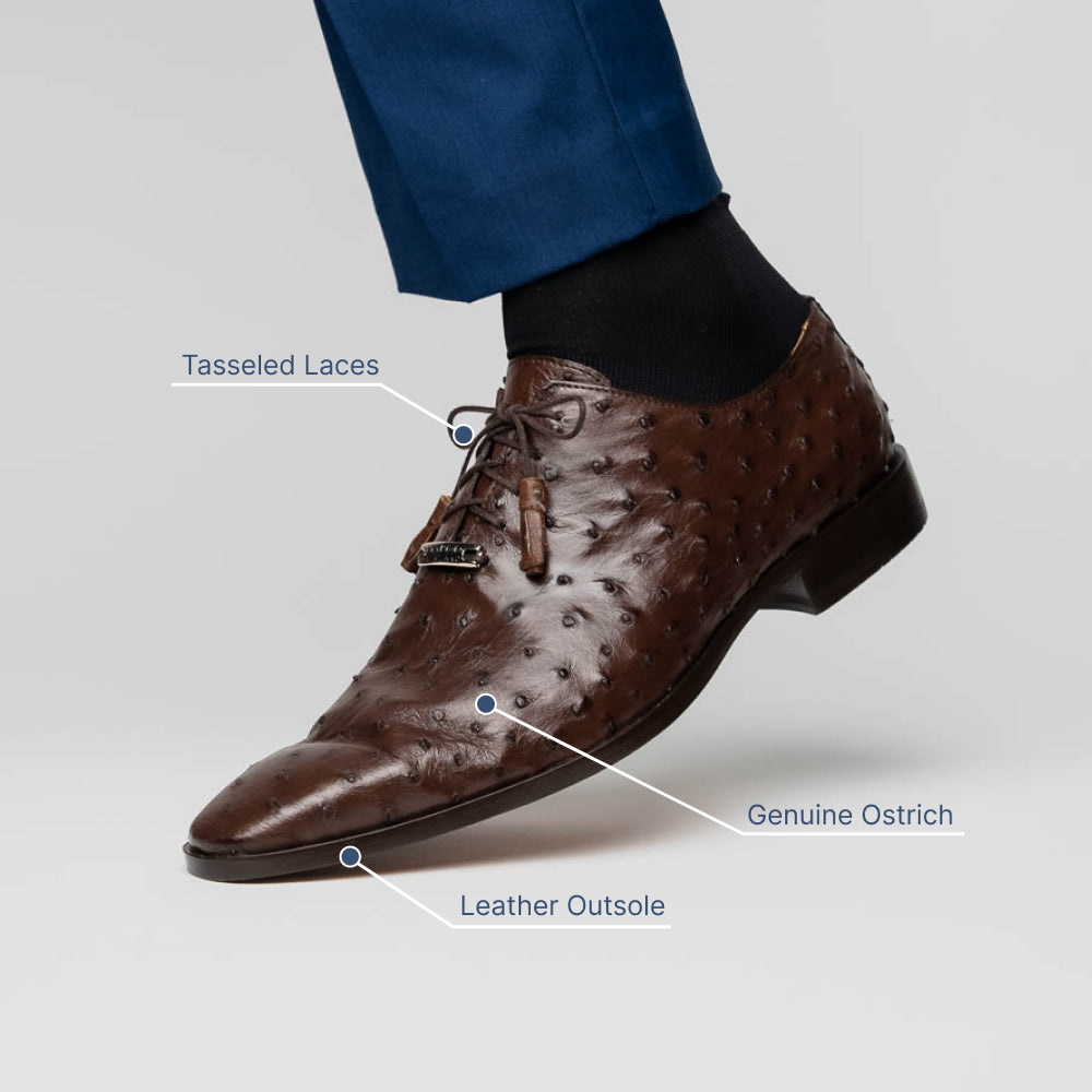 Marco Di Milano Criss Ostrich Quill Dress Oxfords Brown