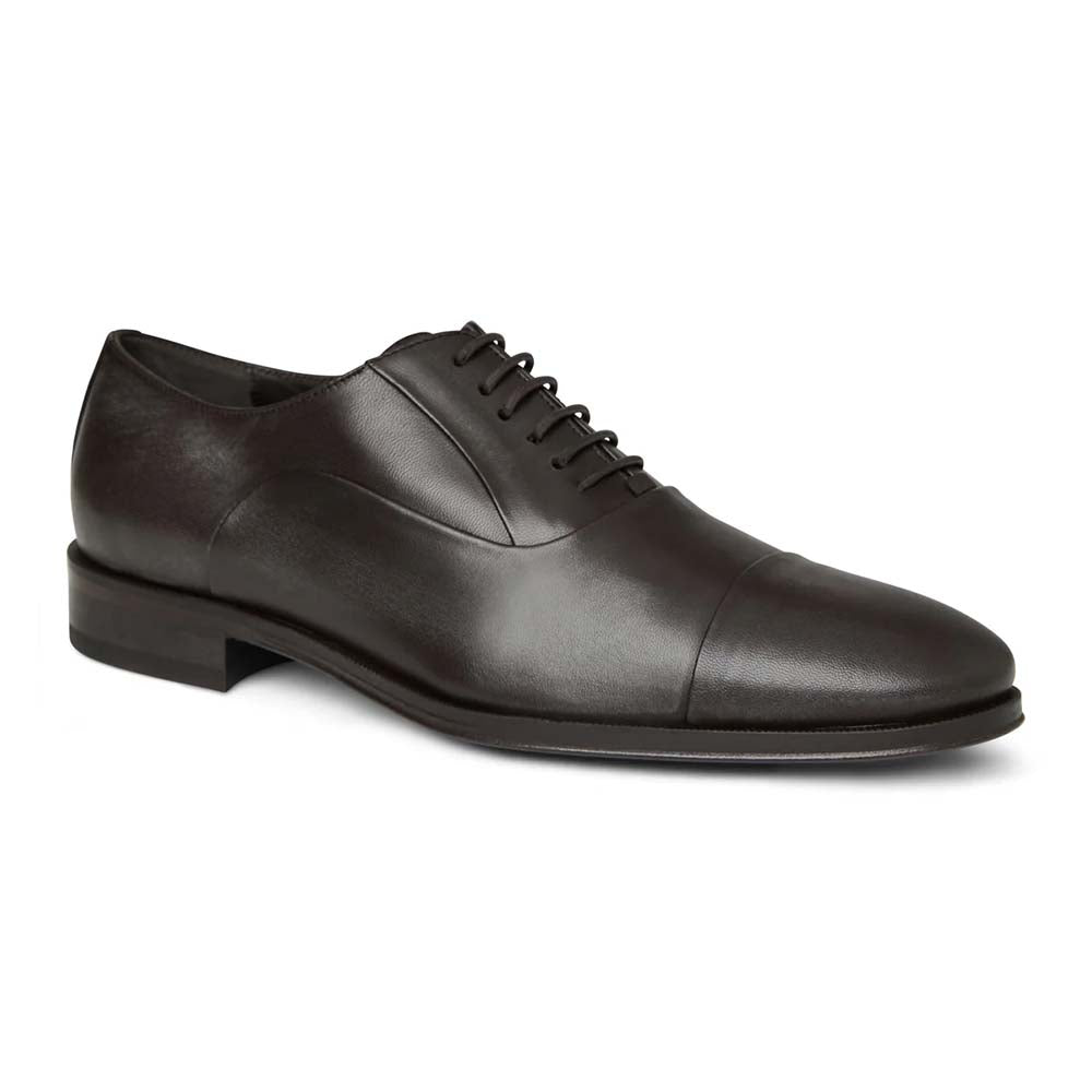 Bruno Magli Maioco Leather Oxfords Brown