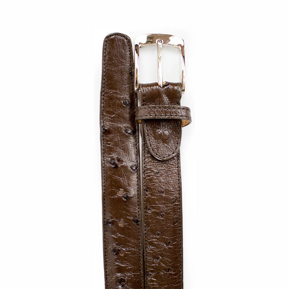 Belvedere Ostrich Quill Belt Tabac Brown (2001)